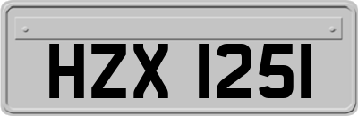 HZX1251