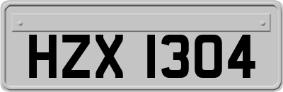 HZX1304