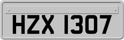 HZX1307