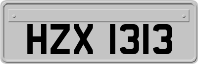 HZX1313