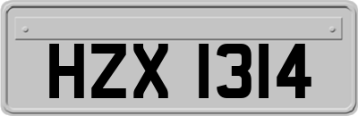 HZX1314