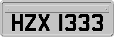 HZX1333