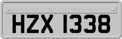 HZX1338