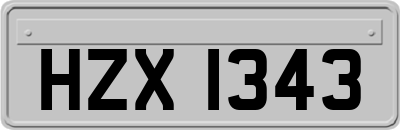 HZX1343