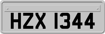 HZX1344