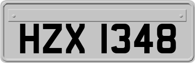 HZX1348