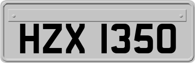 HZX1350