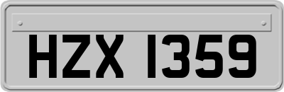 HZX1359
