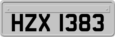 HZX1383