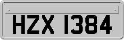 HZX1384