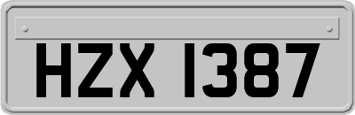 HZX1387