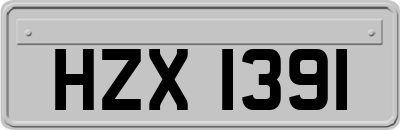 HZX1391