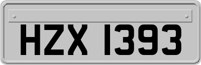 HZX1393
