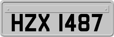 HZX1487