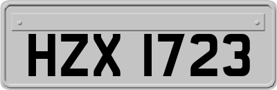 HZX1723