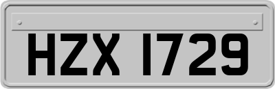 HZX1729