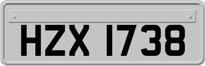 HZX1738