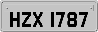 HZX1787
