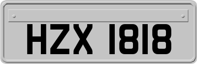 HZX1818