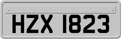 HZX1823