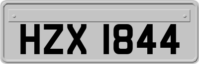 HZX1844