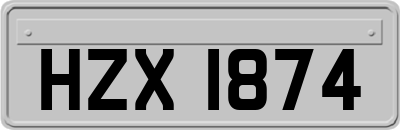 HZX1874