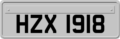 HZX1918