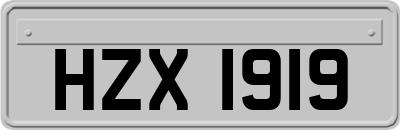 HZX1919