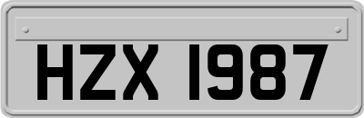 HZX1987
