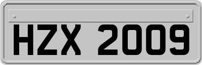 HZX2009
