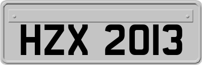 HZX2013
