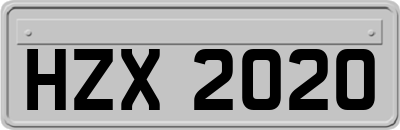 HZX2020