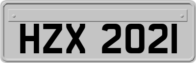 HZX2021