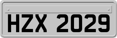 HZX2029