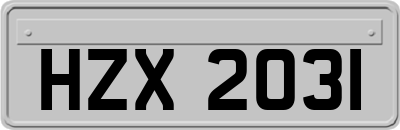 HZX2031