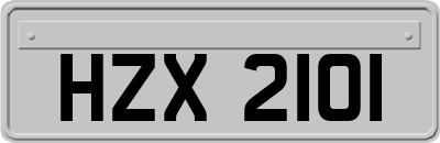 HZX2101
