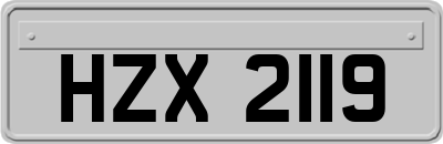 HZX2119