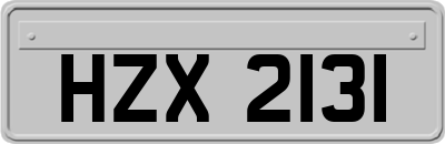 HZX2131