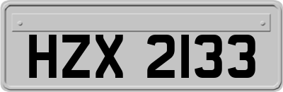 HZX2133
