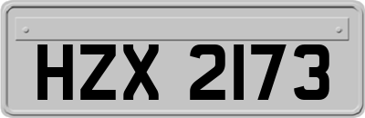 HZX2173