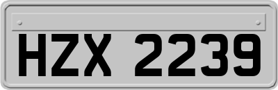 HZX2239