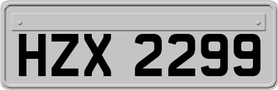 HZX2299