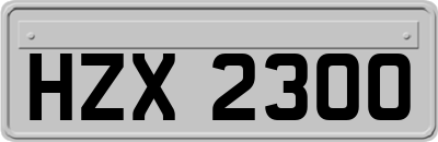 HZX2300