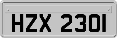 HZX2301