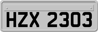 HZX2303