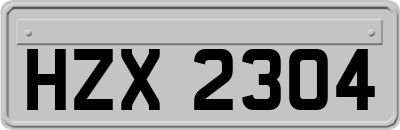 HZX2304