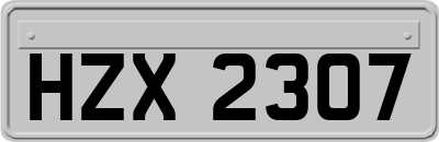 HZX2307