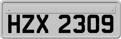 HZX2309