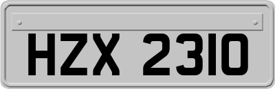 HZX2310