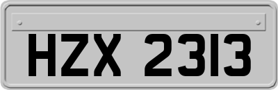 HZX2313